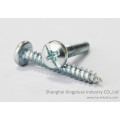 Pan Head Self-Tapping Screw Manufacturer